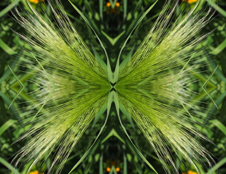 grüne Fantasie mit Grashalmen